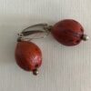 Red palm tree seeds